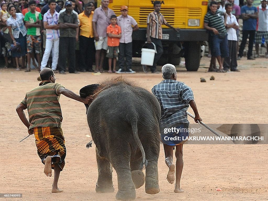 SRI LANKA-FESTIVAL-NEW YEAR