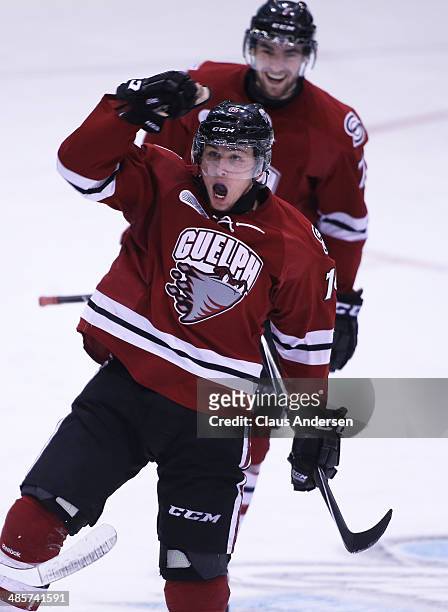 Kerby Rychel of the Guelph Storm celebrates a goal against the Erie Otters in Game Two of the OHL Western Conference Final at the Sleeman Centre on...