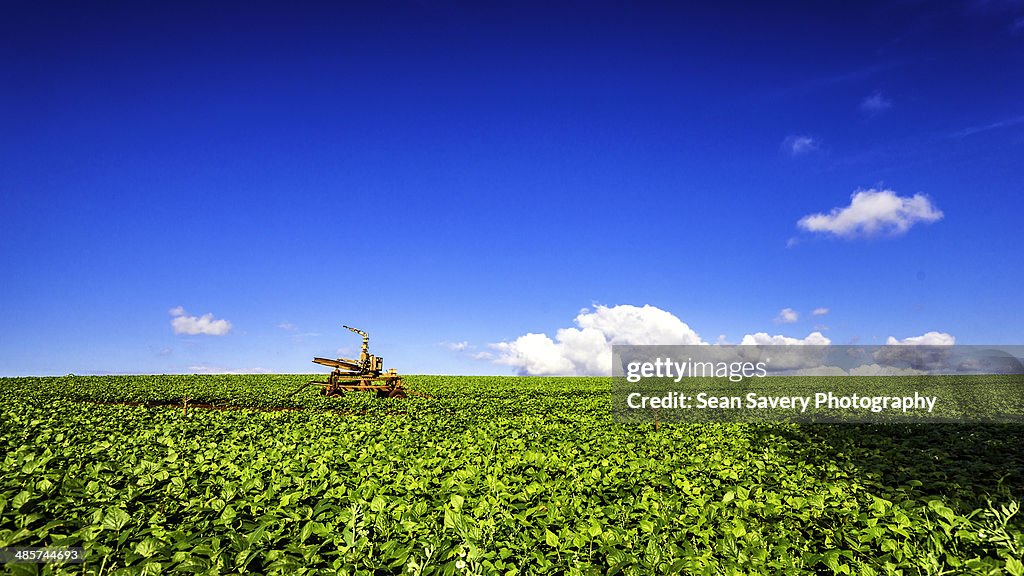 Irrigation