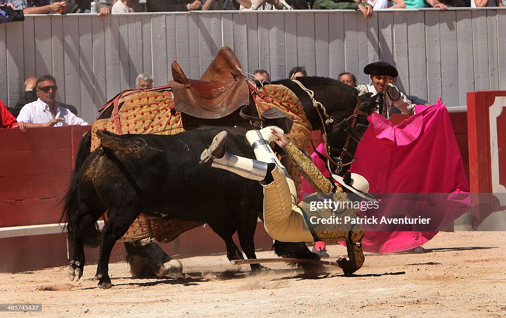 Bullfights: Feria D'Arles 2014