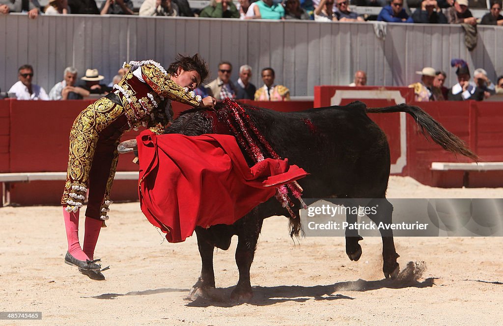 Bullfights: Feria D'Arles 2014