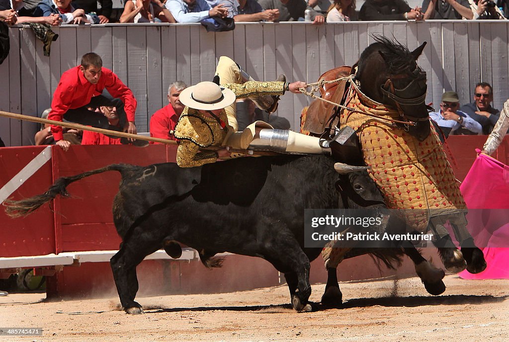 Bullfights: Feria D'Arles 2014