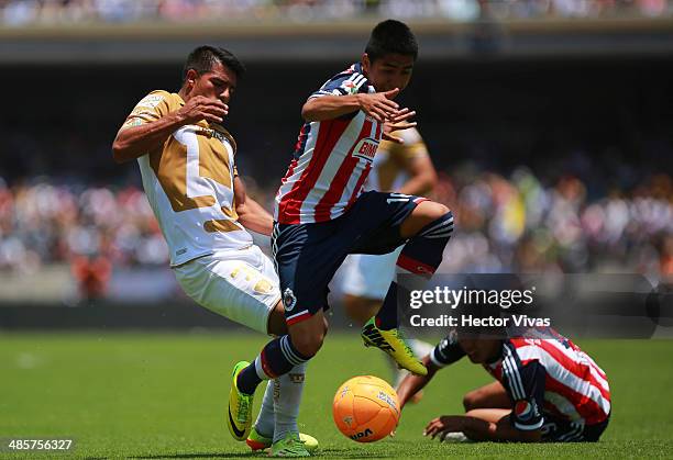 David Ramirez of Chivas struggles for the ball with Javier Cortes of Pumas during a match between Pumas UNAM and Chivas as part of the 16th round...