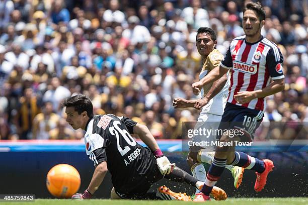 Javier Cortes of Pumas tries to score against Antonio Rodriguez of Chivas during a match between Pumas UNAM and Chivas as part of the 16th round...