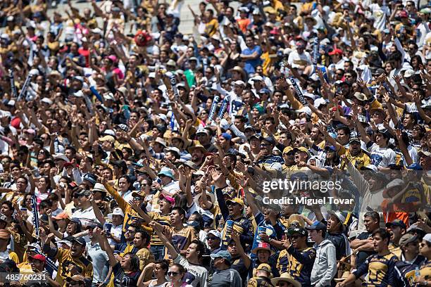 Fans of Pumas cheer for their team during a match between Pumas UNAM and Chivas as part of the 16th round Clausura 2014 Liga MX at University Olympic...