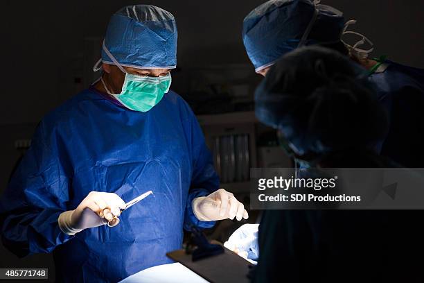 surgeon suturing wound during surgical procedure in operating room - hecht stockfoto's en -beelden