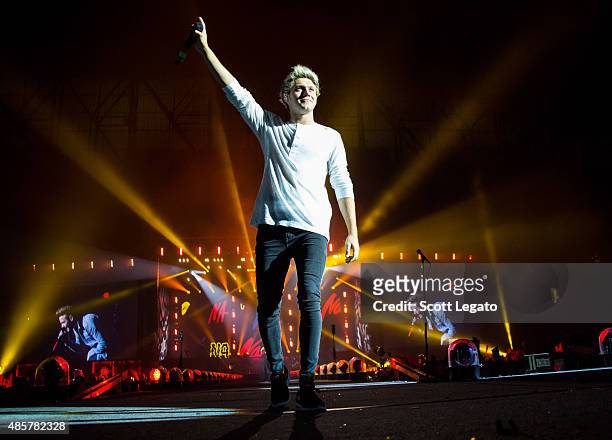 Niall Horan of One Direction performs in support of the On The Road Again Tour at Ford Field on August 29, 2015 in Detroit, Michigan.