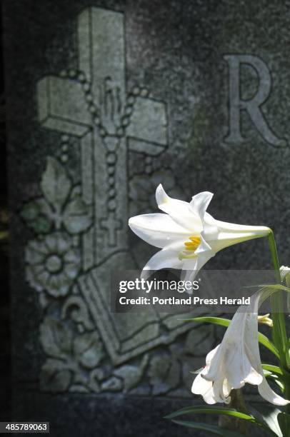 Calvary Cemetery (South Portland Maine) Photos and Premium High Res