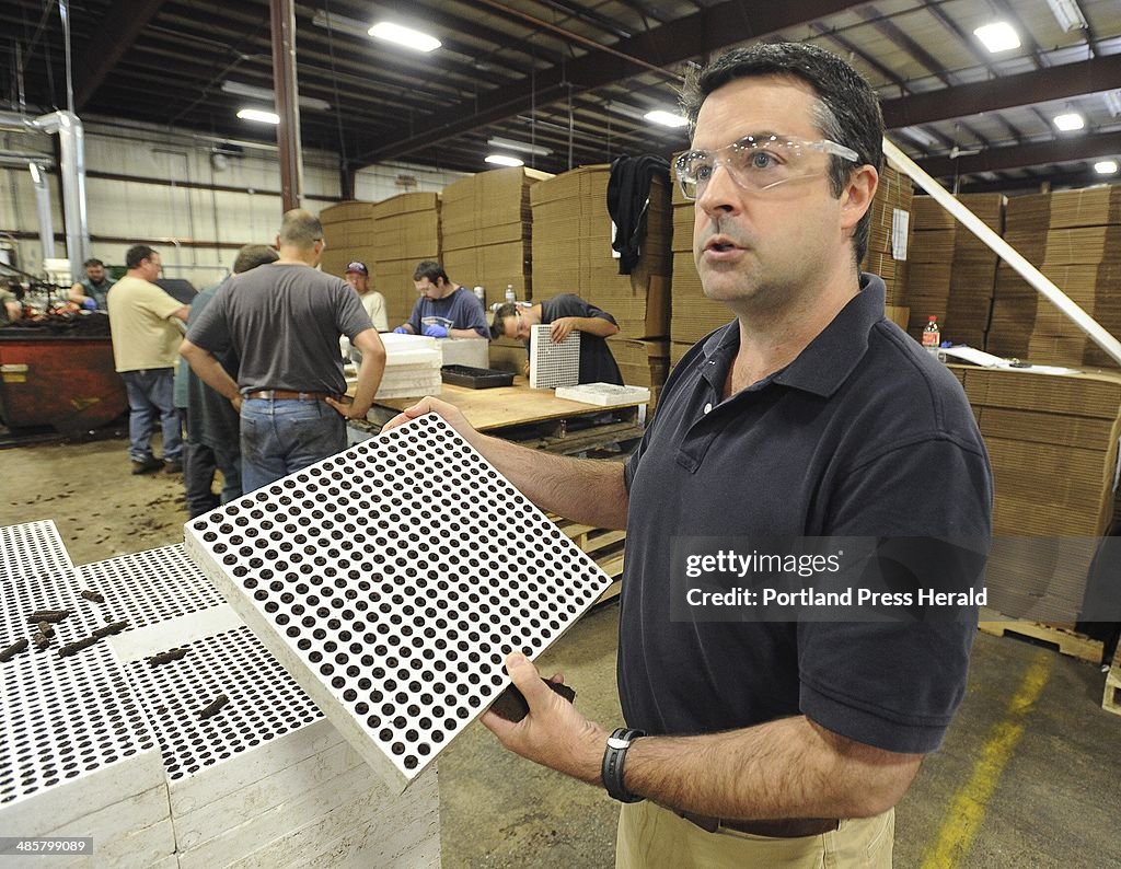 James P. Chittum, Director of Business Development, holds a 400 plug grow tray used for southern pi