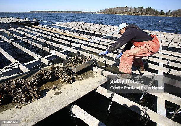 Mussel Raft Assembly 119 Mussels Rope Stock Photos, High-Res Pictures, and Images - Getty Images