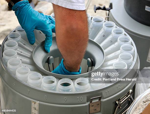 Bottom Sample Collection Device 146 Water Sample Collection Stock Photos, High-Res Pictures, and Images ...