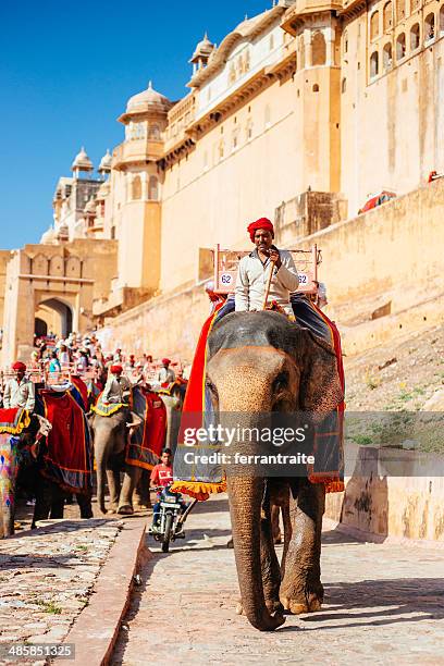 elefante rider amber fort jaipur - amber fort - fotografias e filmes do acervo