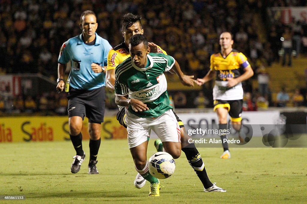 Criciuma v Palmeiras - Brasileirao Series A 2014