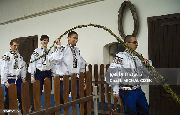 Boys in traditional dresses carry a giant whip as they arrive to symbolically beat a girl living there in order to get colored eggs from her in the...