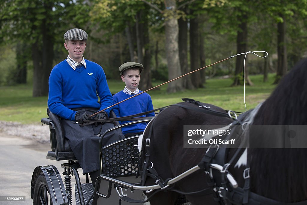 Riders Display Their Horses And Carriages During The London Harness Horse Parade