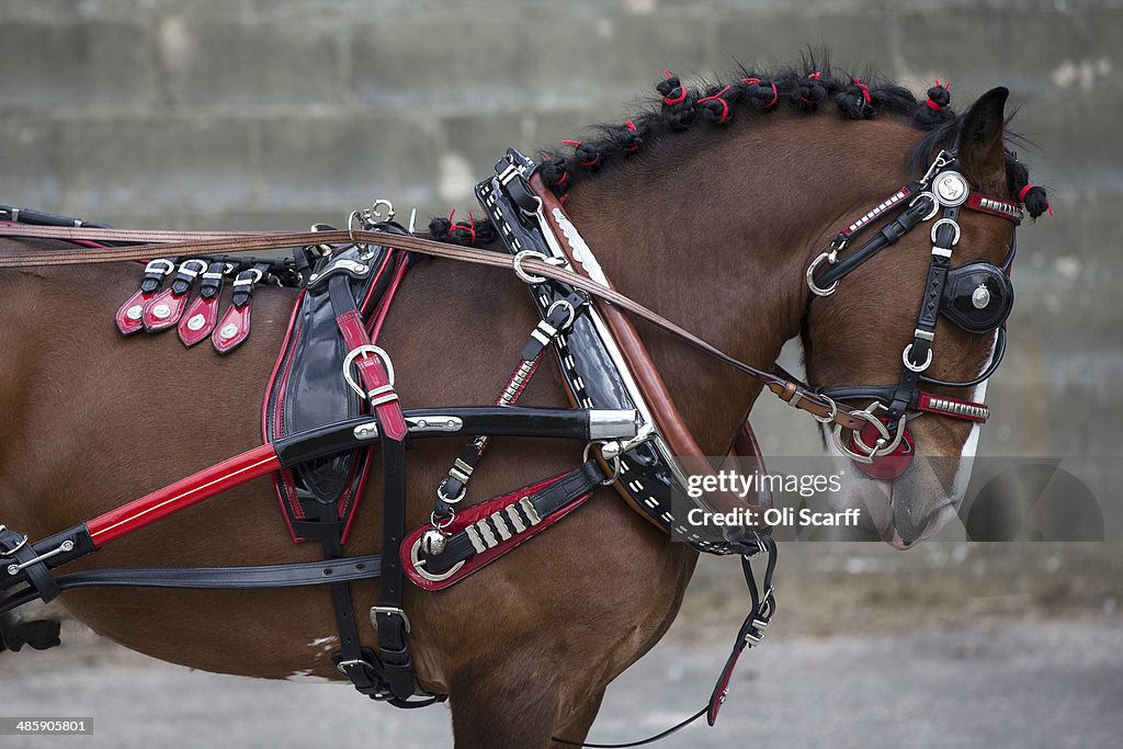 Riders Display Their Horses And Carriages During The London Harness Horse Parade