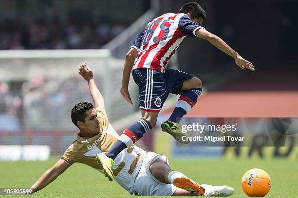 David Cabrera of Pumas fights for the ball with David Ramirez of Chivas during a match between Pumas UNAM and Chivas as part of the 16th round...