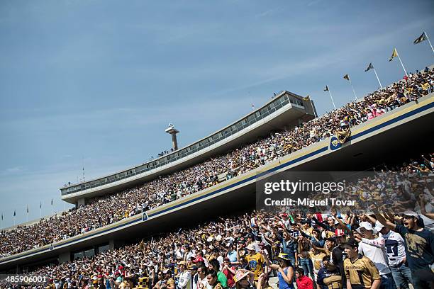 Fans of Pumas sing during a match between Pumas UNAM and Chivas as part of the 16th round Clausura 2014 Liga MX at University Olympic Stadium on...