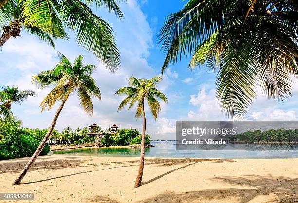 sentosa island beach, singapore - desert island stock pictures, royalty-free photos & images