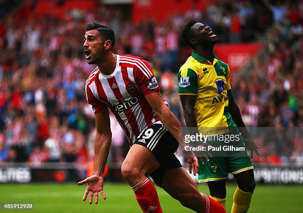 Graziano Pelle of Southampton celebrates scoring the opening goal during the Barclays Premier League match between Southampton and Norwich City at St...