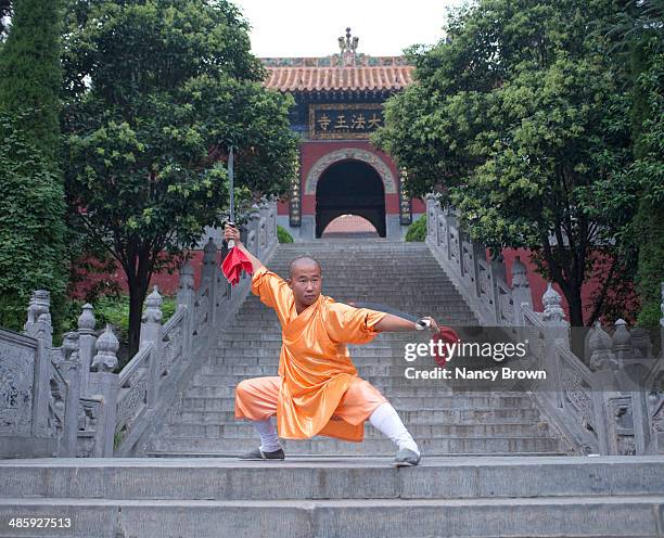 Slapi Shaolin 1,632 Monk Of Shaolin Stock Photos, High-Res Pictures, and Images ...