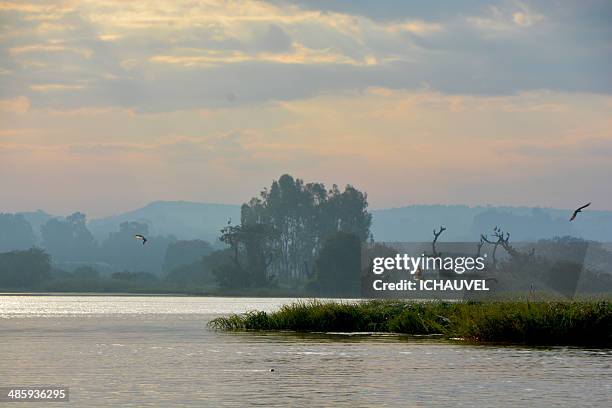 tana lake ethiopia - lake tana stock pictures, royalty-free photos & images