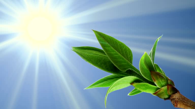 imagen en miniatura de vídeo