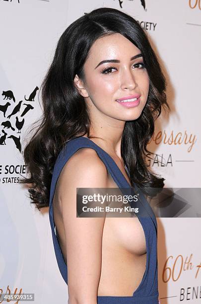 Actress Christian Serratos attends the Humane Society Of The United States 60th Anniversary Benefit Gala on March 29, 2014 at The Beverly Hilton...