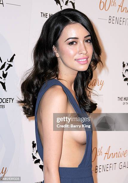 Actress Christian Serratos attends the Humane Society Of The United States 60th Anniversary Benefit Gala on March 29, 2014 at The Beverly Hilton...