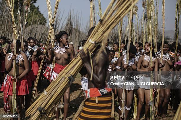 Maidens from Swaziland carry the reeds as they sing and dance during the first day of the annual royal reed dance at the Ludzidzini Royal palace on...