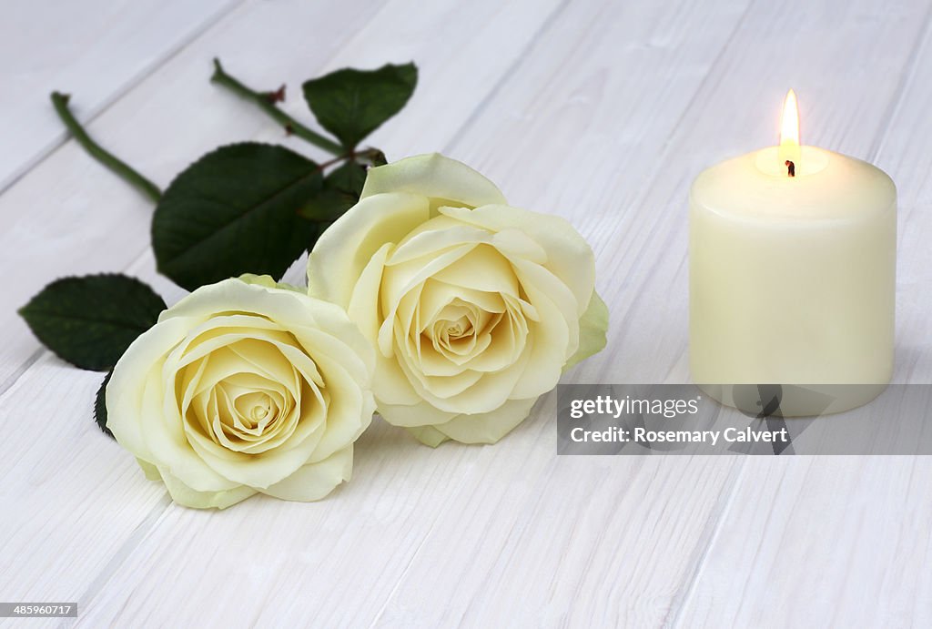 Romantic cream roses with lighted candle on white