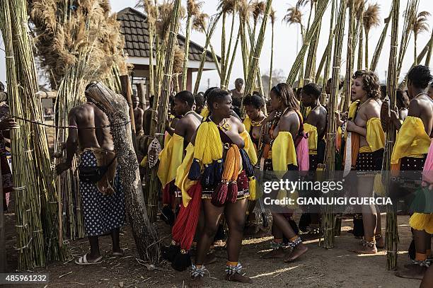 Maidens from Swaziland lay the reeds for the Queen mother palace as they sing and dance during the first day of the annual royal reed dance at the...