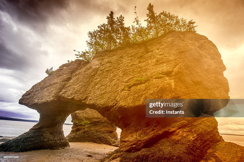 Hopewell Rocks