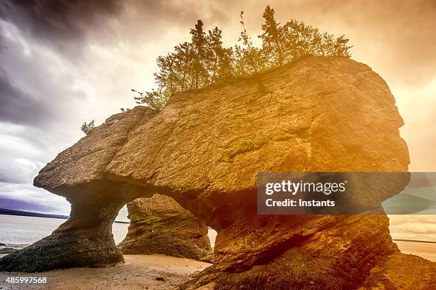 hopewell rocks - hopewell stock pictures, royalty-free photos & images