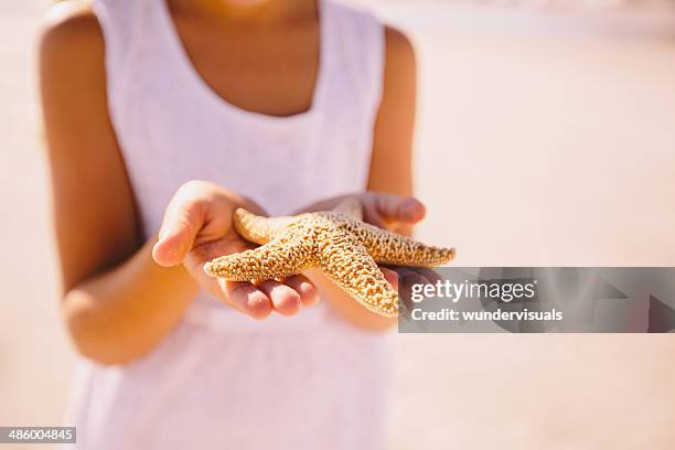 girl holding starfish in hands - starfish holding hands stock pictures, royalty-free photos & images