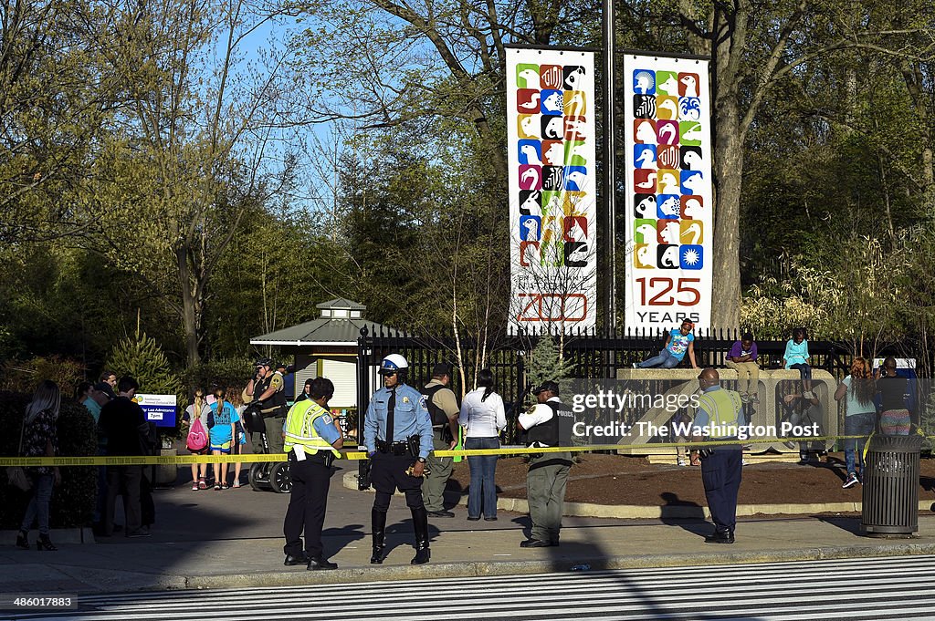 Shooting Near the National Zoo