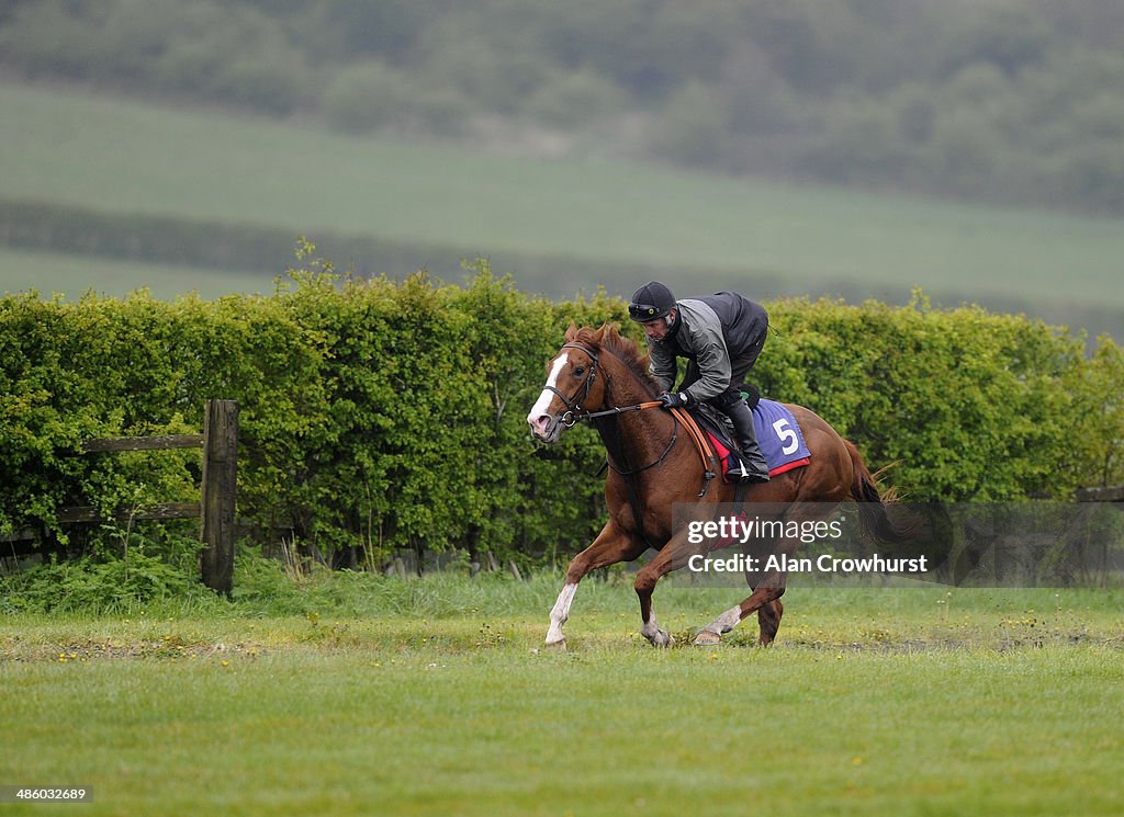 Richard Hannon Visit