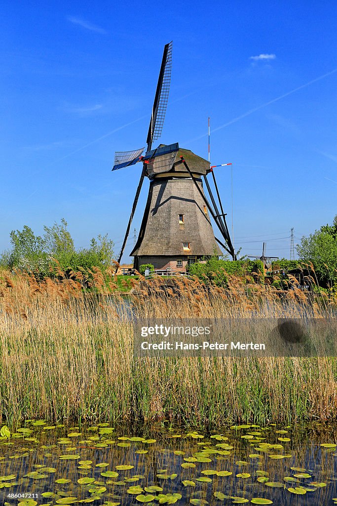 Windmills of Kinderdijk, Netherlands