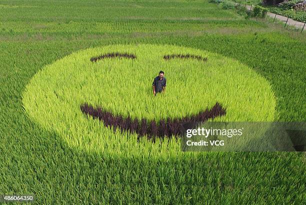 Happy Rice Face Rice Smile Face Photos and Premium High Res Pictures - Getty Images
