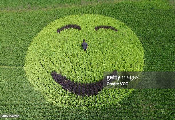 Happy Rice Face 33 Rice Smile Face Stock Photos, High-Res Pictures, and Images - Getty ...