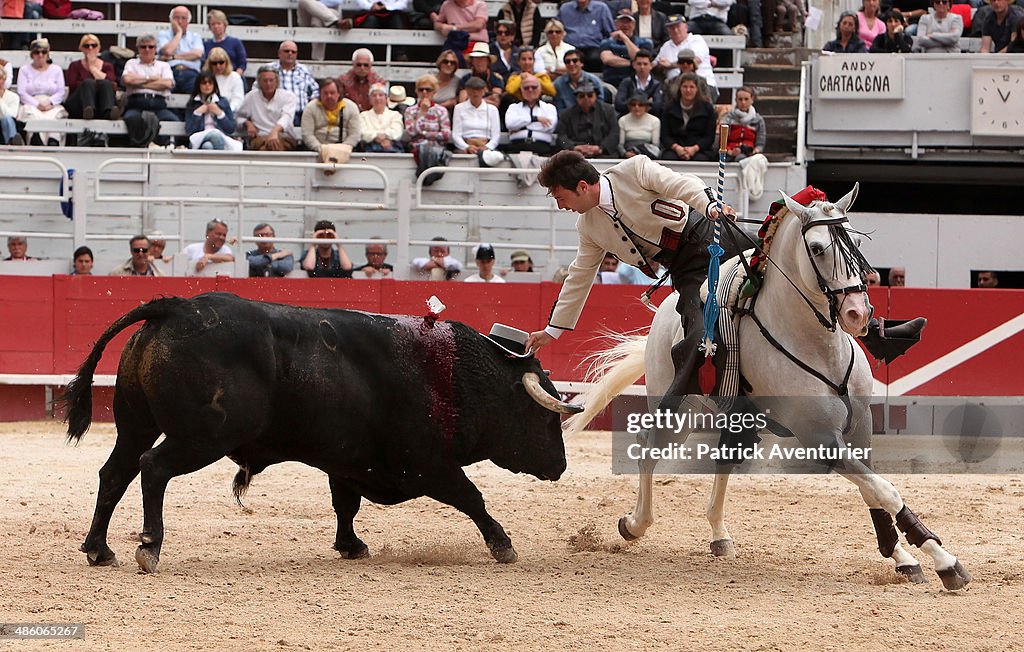 Bullfights: Feria D'Arles 2014