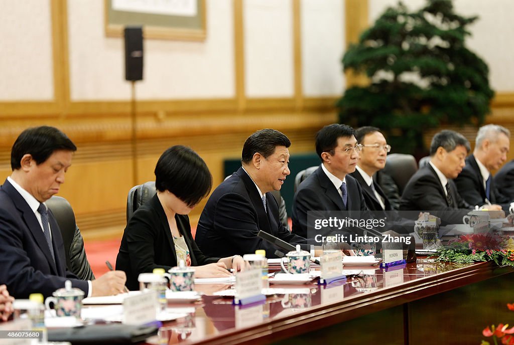 Chinese President Xi Jinping Meets Serbian President Tomislav Nikolic