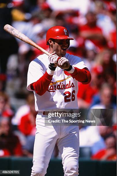 Eli Marrero of the St. Louis Cardinals bats against the Cincinnati Reds at Busch Stadium on May 19, 2002 in St. Louis, Missouri. The Cardinals...