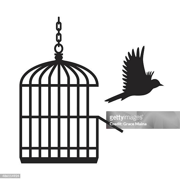 bird flying from open birdcage - vector - freedom stock illustrations