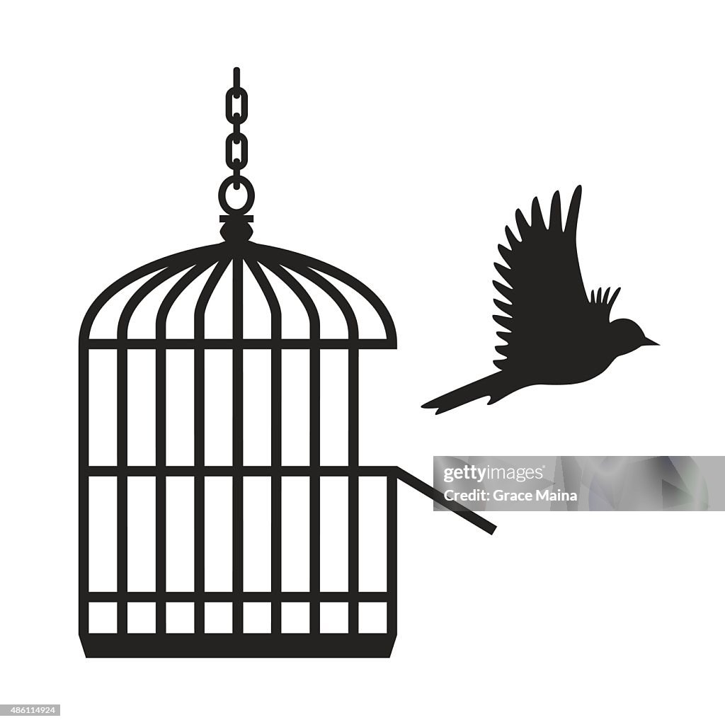 Bird flying from open birdcage - VECTOR