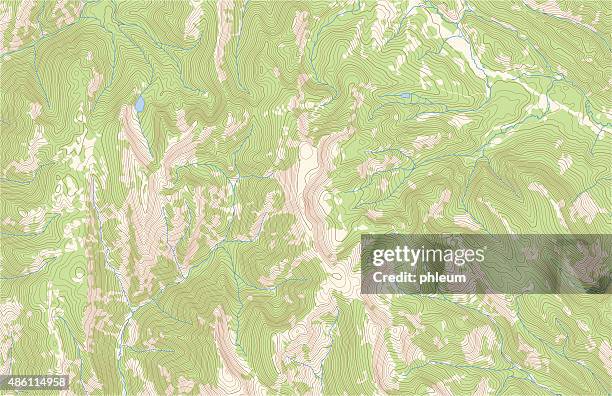 stockillustraties, clipart, cartoons en iconen met topographic contours with forest and streams - topography