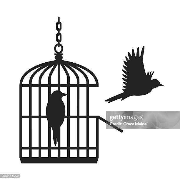 birds in open birdcage - vector - canary bird stock illustrations