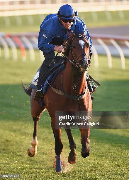 Contributer from the Godolphin stable gallops during a Moonee Valley trackwork session at Moonee Valley Racecourse on September 1, 2015 in Melbourne,...