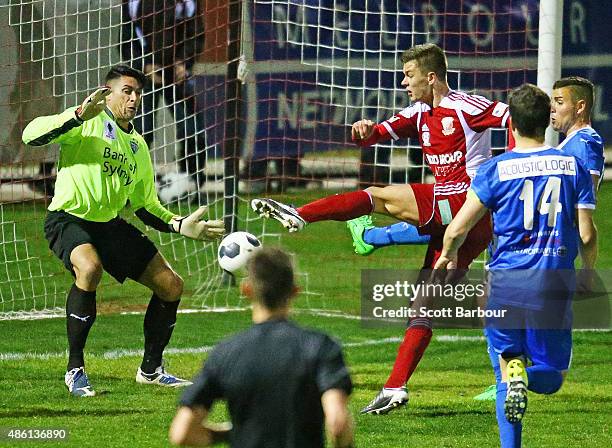 Marcus Schroen of Hume City beats goalkeeper Paul Henderson of Sydney Olympic to score a goal during the FFA Cup Round of 16 match between Hume City...