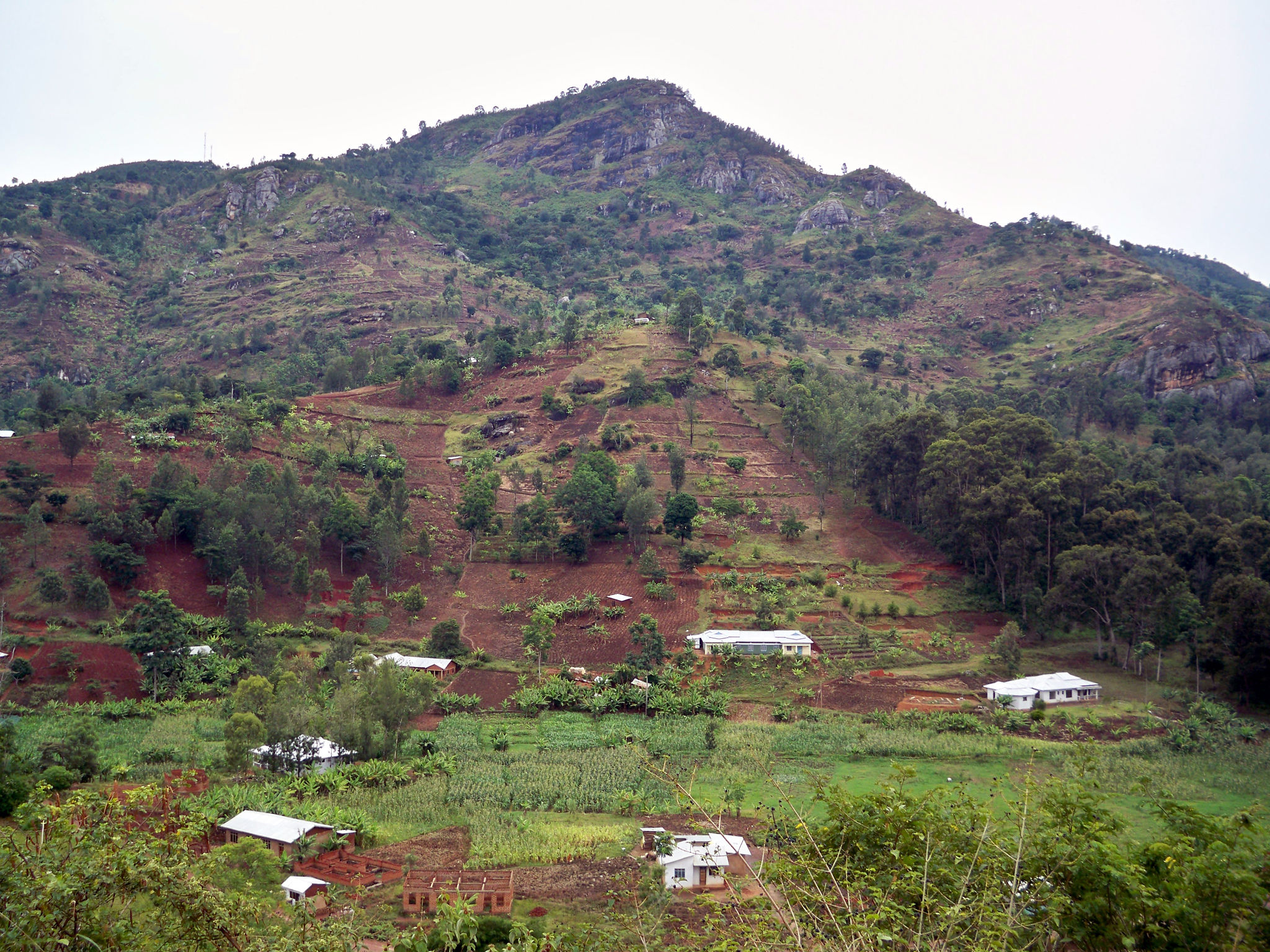usambara mountains